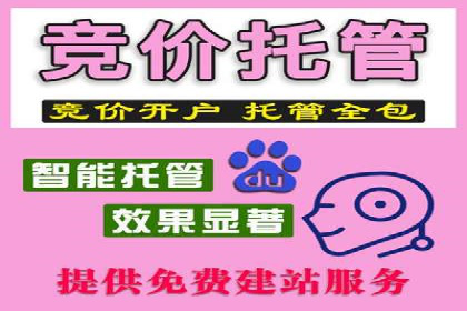 百度竞价托管运营：从零到一的成长案例