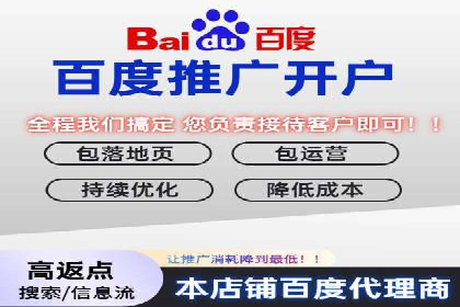 成功案例解析：SEM竞价员策略